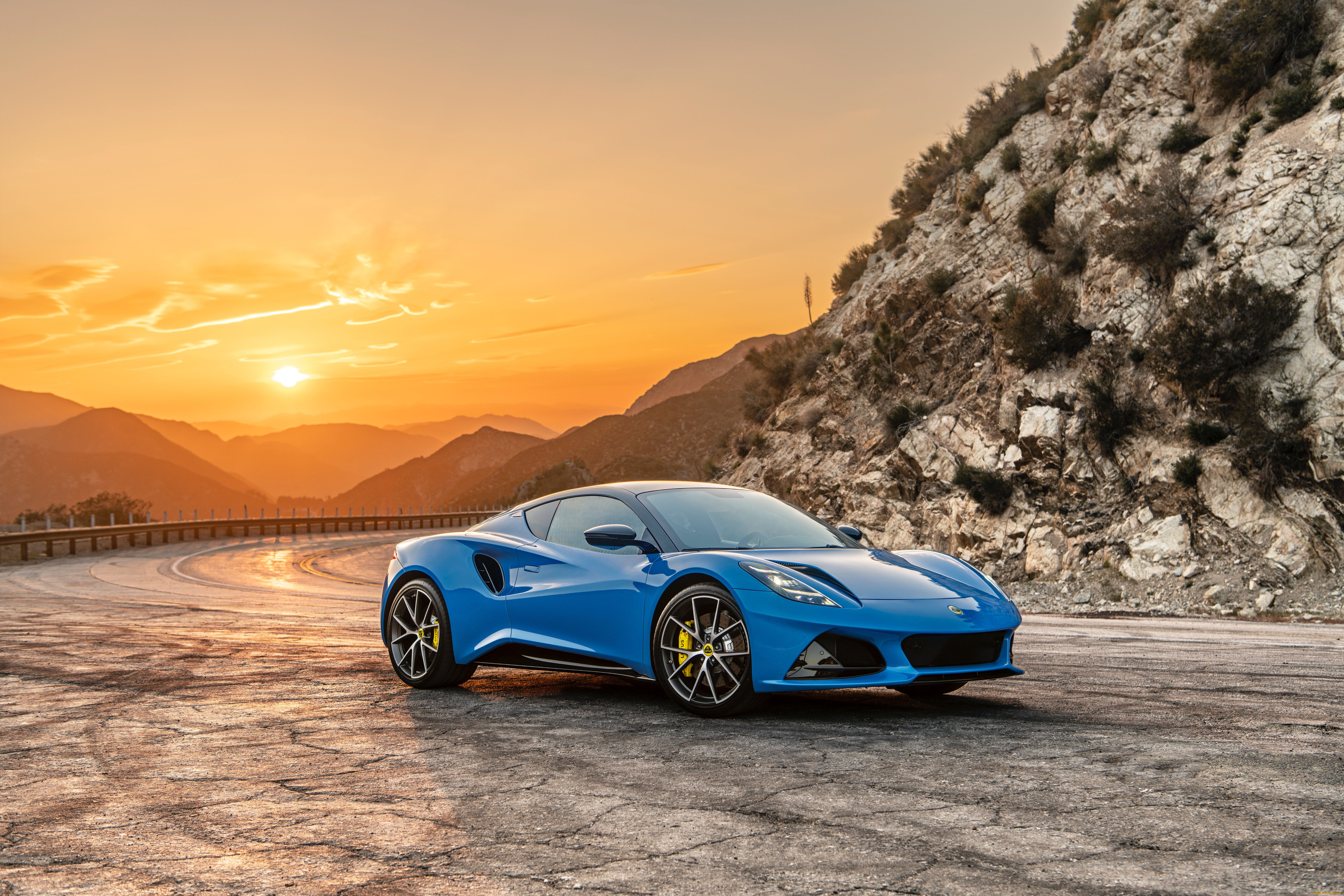 , lotus